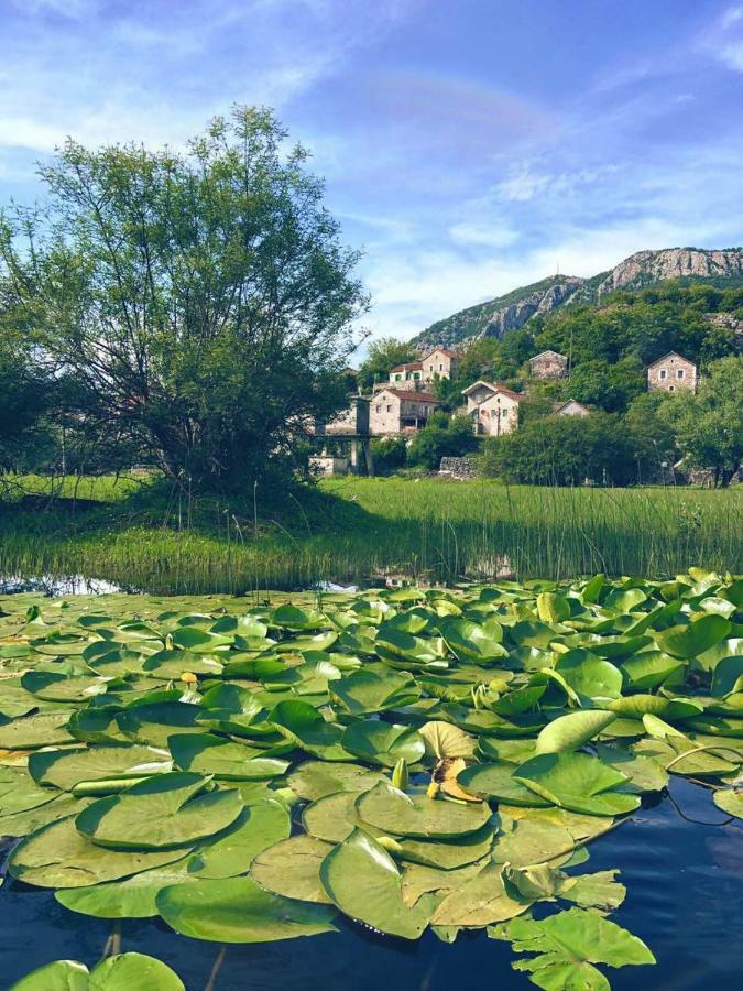 Lake View Apartment Dodosi エクステリア 写真